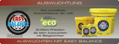 Easybalance, 7500 Gramm - pulverisiertes Auswuchtmaterial - LKW